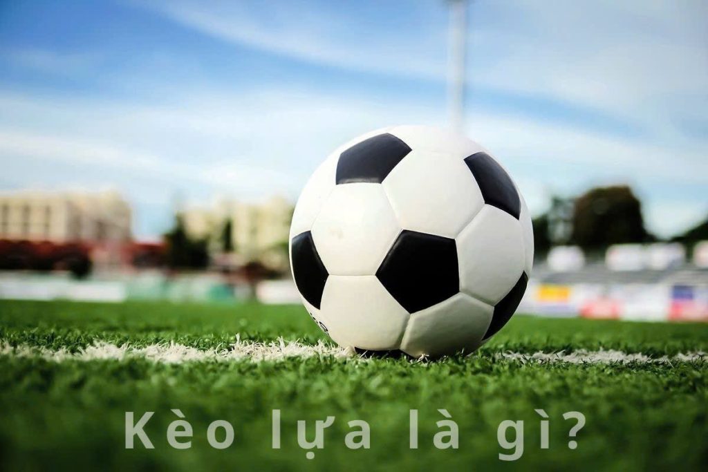 K&egrave;o lựa l&agrave; g&igrave;?